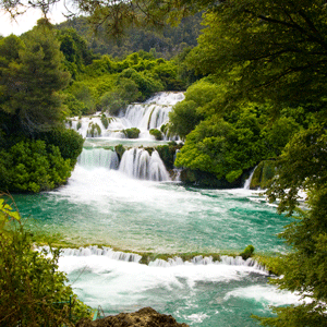 Waterfall and river in woodland